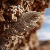 Close Up Detail Of Dirt On The Plumage Of A Raptor Bird photo