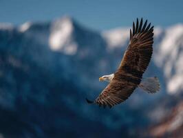 Impressive Bald Eagle In Flight Above Rugged Mountain Scenery photo