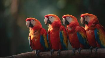 Several exotic macaws with vivid plumage sit on a wooden perch photo