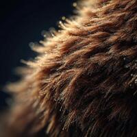 Microscopic View Of Pollen Speck Adhering To Rugged Bear Pelt photo