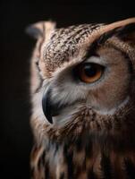 Observant Owl With Keen Eyes Surveys Its Surroundings At Night photo