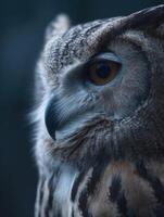 Peaceful Night Bird Owl Conducts Its Hunt With Utmost Calmness photo