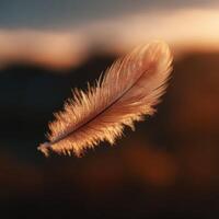 One light feather performs an elegant dance moved by soft wind photo