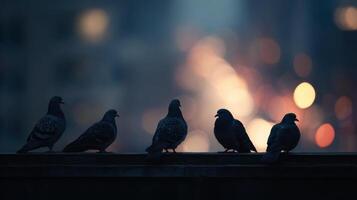 Several common pigeons are roosting together on an urban edifice edge photo