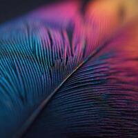 The beautiful tiny details of an iridescent bird feather texture photo