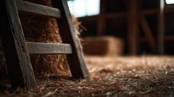 Vintage timber ladder propped up beside large haystack in agricultural shed photo