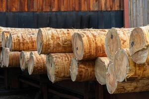 Logs of wood lie on the sawmill. Sawing logs into lumber. Production of boards. Wood industry photo