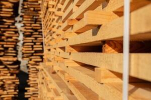 Close up of pine boards. Production of wood material on a sawmill photo