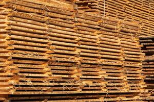 Stack of lumber of a wooden board from a tree. Pile of timber at warehouse storage photo