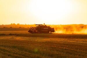 Harvester machine to harvest wheat. Combine harvester at harvest in the field. Agriculture image photo