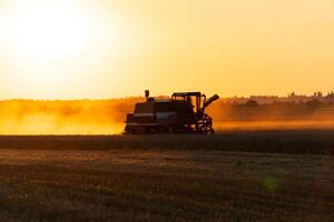 Combine harvesting the wheat on a sunset. Combine harvester. Agricultural machine. Agriculture image photo