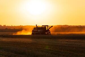 Combine harvester harvests ripe wheat. Harvesting of wheat in summer. Harvester agricultural machine. Concept of a rich harvest photo