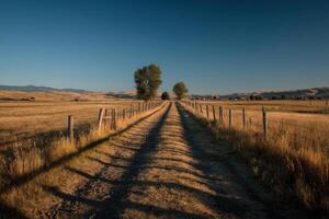 A dirt road in the middle of a field photo