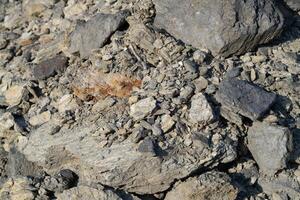 Rock fragmentation process quarry site geological study outdoor environment close-up view natural resources management photo