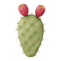 Prickly pear cactus with red fruits vector
