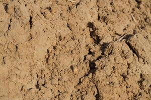 Soil preparation for agriculture farm field close-up image natural environment ground level agricultural practices photo