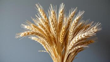 a bouquet of dried wheat and pampas grasss photo