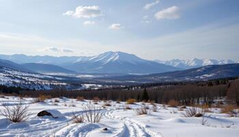 a quiet tundra with patches of snows photo
