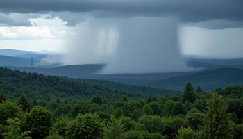 a rainstorm passing over a dense forests photo