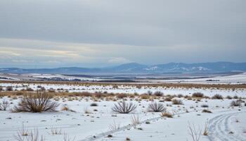 a vast snowy plain under an overcast skys photo