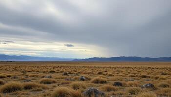 a tundra under a wide, grey skys photo