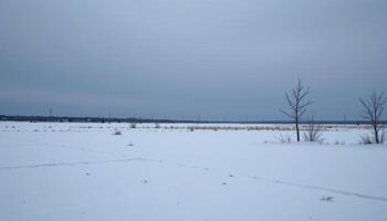 a wide snowy plain under a grey skys photo