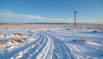 a snowy tundra stretching to the horizons photo