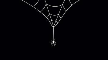 Halloween spiders and webs on transparent background, cute 4k spider animation design elements video