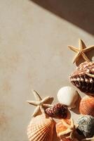 Beautiful Collection of Shells and Starfish Displayed on a Textured Surface in Natural Light photo