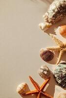 Colorful Seashells and Starfish Arranged on Sandy Surface by the Beach During Bright Daytime photo