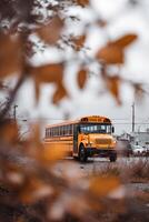 Yellow School Bus Driving Through Autumn Leaves on a Cloudy Day Near a Rural Area photo