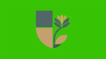 Abstract Logo Animation with Color Changes on Green Background. video