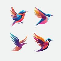Four Colorful Bird Logos in Flight with Gradient Wings vector