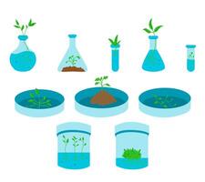 illustration of various in vitro plants growing in glass test tubes, representing plant tissue culture, biotechnology, and micropropagation. Ideal for educational, scientific, and agricultural vector