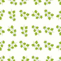A pattern with green leaves and berries vector