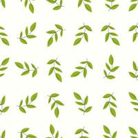 A patte rn with green leaves on a white background Seamless floral pattern. Motives are scattered randomly. Flower pattern background. cute pattern. vector