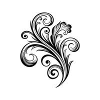 Black and White Floral Ornamental Flourish Silhouette Swirls and Curls Isolated on White Background Graphic Design Element vector
