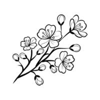 Black and White Silhouette Spring Branch with Cherry Blossoms and Buds Isolated on White Background Floral Design Element vector