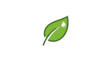 Green leaf water drop symbol vector