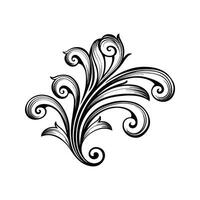 Black Swirling Floral Silhouette Pattern Isolated White Background Elegant Ornate Design Element vector