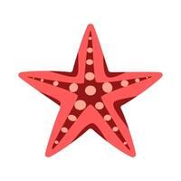 Starfish isolated on white background. vector
