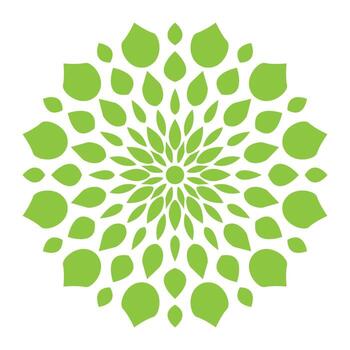 firework a green and white circular design with a circular pattern vector