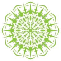 floral a green and white circular design with a circular pattern vector
