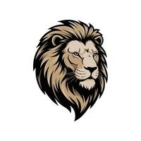 Realistic color male lion head art vector