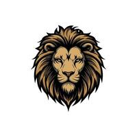 Lion face image front view vector