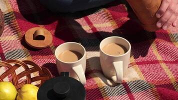 Gathered around a vibrant picnic blanket, friends savor warm drinks while enjoying fresh fruits in a picturesque outdoor setting. The sun adds to the joyful atmosphere, creating lasting memories. video