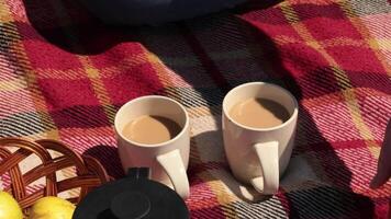 Woman stirs coffee in two mugs atop picnic blanket under sun, sipping coffee from white mugs while enjoying the relaxing atmosphere. Baskets of fresh fruit add to the delightful picnic experience. video