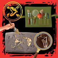 Dinosaur fossil excavation tools and techniques vector