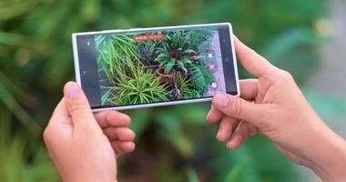 Hands Holding Smartphone Capturing Greenery in Augmented Reality video