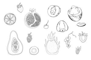 Sketch set fruit, hand drawn tropical fruits and berries. Sweet fresh sliced kiwi, peach and pomegranate, cute cherry and strawberry. Pear with leaves. Coconut slice and half figs. vector